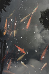 Koi fish in a natural park at Madeira island