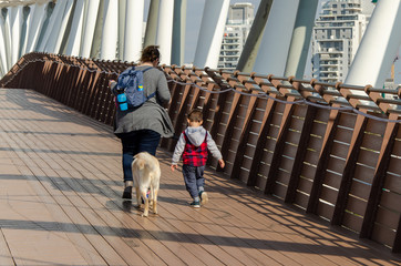 Reserved Bridge
