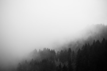 Pico Ruivo in a foggy winter day