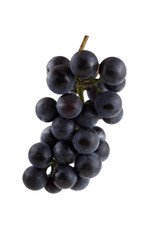 Black wine grape