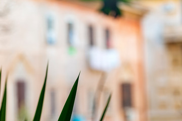 image of Garbatella in Rome. to mark the centenary of his birth