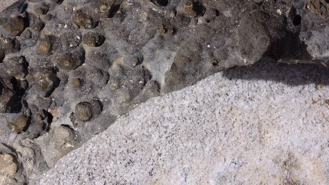 Des cristaux de sel en bord de mer