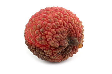 Lychee