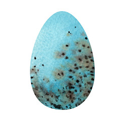 Bright blue quail easter egg with spots.