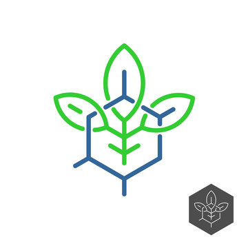 Biochemical industry logo. Plant leaves with chemical hex formula base grid. Adjustable stroke width.