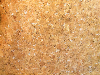 Cork wood texture on the wall