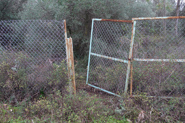 rusty fence crooked gate in the woods