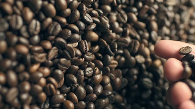 Closeup of coffee beans scatter out of male's hand at top part of a picture, in slow motion. Vertical footage.