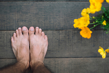 human feet standing on wooden ground close the yellow cosmos flower