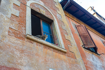 Rome, the Garbatella on the centenary of her birth. Houses squares,streets and streets entered history