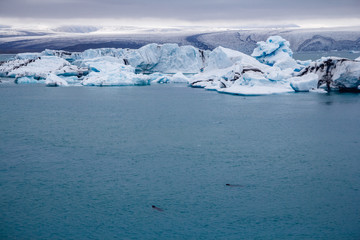 Icebergs in Jokulsarlon lagoon beneath Breidamerkurjokull glacier Sudhurland, Iceland. Place for text or advertising