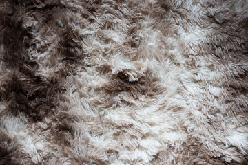 Carpet