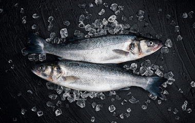 Seabass on ice on black stone background, top view