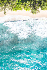 Fototapeta na wymiar Seychelles Takamaka beach Mahé Mahe portrait format vacation paradise ocean drone view aerial photo
