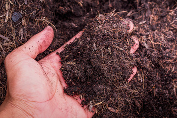 Prepare the soil into pots by hand before planting seedlings. There is a mixed garden, such as coconut meat mixed together and put in a pot. New concepts in agriculture