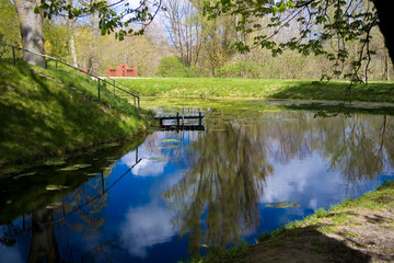 Fototapeta na wymiar calm spring landscape with a river with green water plants on a warm day