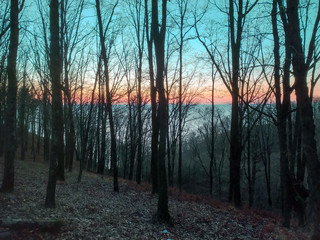 Obraz premium sunset in the forest