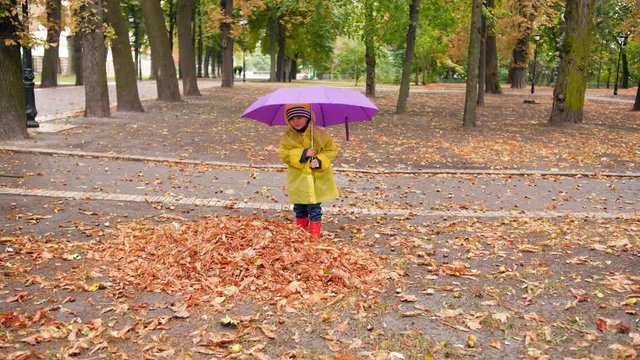 4k video of happy smiling boy with umbrella walking on fallen tree leaves after rain at autumn park