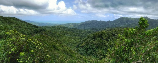 Grenada – Panorama view over Grand Etang Forest Reserve