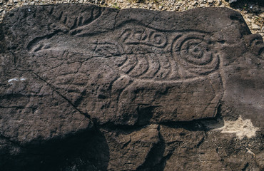 Ancient petroglyphs carved on stones, Sikachi-alyan, Russia.