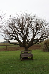 bench on the ranch