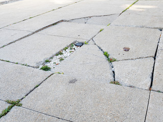 Close-up photo of gray bitumen slabs with deep cracks and grass sprouted through the cracks