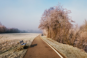 Mist morning path, and a bench in the forest frost