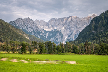 Fototapeta na wymiar View over meadow in Zgornje Jezersko, to Kamnik-Savinja Alps