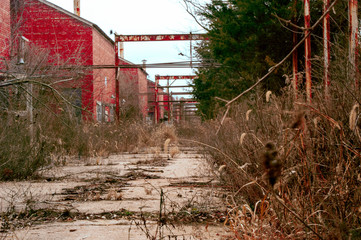 Abandoned factory path