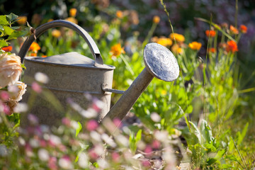 Petit jardin fleuri au printemps et arrosoir.