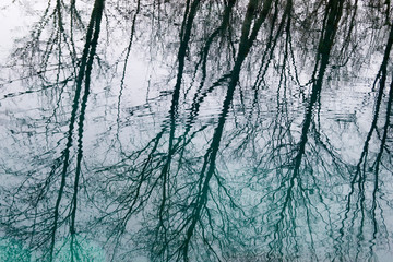 trees are reflected in blue clear water