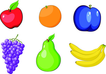 Set of fruits. Apple, orange, plum, grape, pear and banana vector illustration