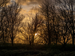 Fototapeta na wymiar Sunset sky seen through the bare winter branches of trees at Far Ings Nature Reserve, North Lincolnshire, England