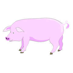 Cartoon pink pig isolated vector illustration