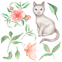 Watercolor cat clipart with florals, greenery, butterfly illustration. spring pink peony flower and buds with domestic animal. Hand painted pet.