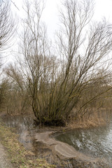 Vogelinsel