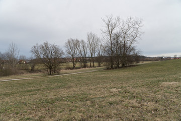 Obraz premium Vogelinsel