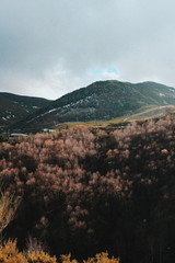 Paisaje Invernal en Asturias