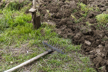 Fototapeta premium garden preparation in spring, tillage, metal garden harrow and digging shovel,
