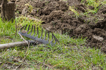 garden preparation in spring, tillage, metal garden harrow and digging shovel,