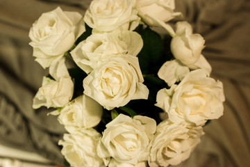 Obraz na płótnie Canvas White roses on a white and gray background
