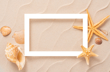 Fototapeta na wymiar Minimal exotic concept with copy space. summer beach background, Sand, shells, Seastar vacation and travel concept, Flat lay top view