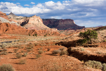 Capitol Reef scenery at sunset, views along the scenic drive following the Waterpocket Fold