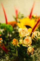  Different flowers macro, background, wallpaper