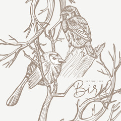 Vintage vector spring card. Birds on a branch. Monochrome. Line drawings, ink drawing, hand drawn illustration for poster, social media, post, wedding, textile, design template.