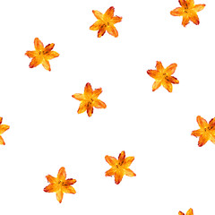 Seamless abstract texture using watercolors. Concept: wallpaper, textiles, printed products. Floral print. Orange flowers on a white background.