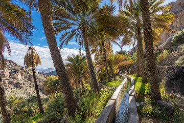 Al Misfat al Abriyyin in the Hajar Mountains, Oman. - Date palm tree oasis and water spring at...