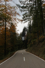 Obraz premium The road ahead