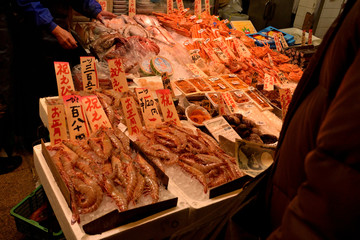 Closeup of a bench full of fish dish in a Japanese market
