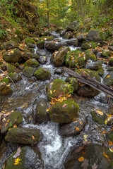 Falls Brook Stream OH